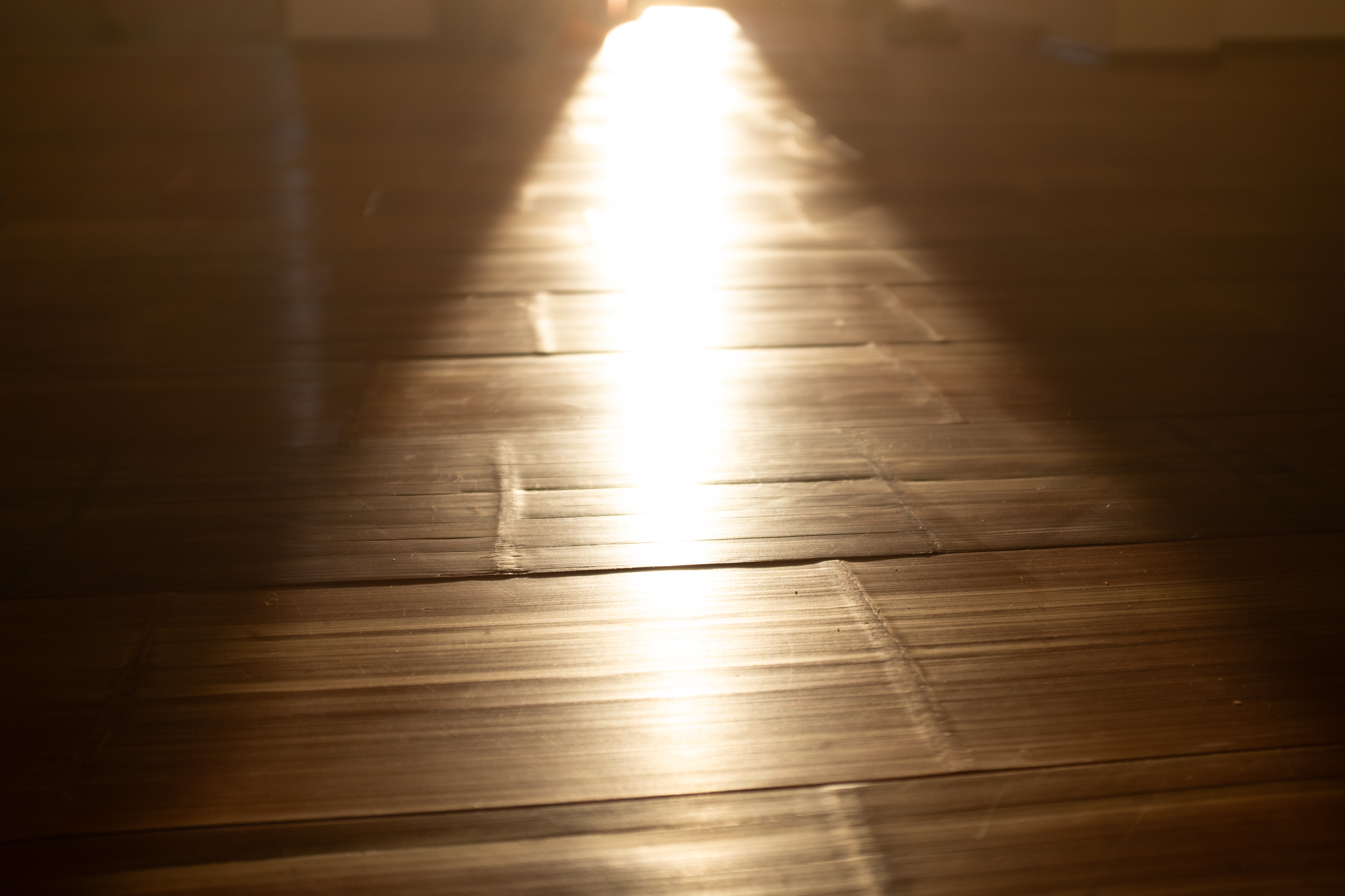 Moso Bamboo Forest XXL mit naturbelassener Oberfläche 2000x190x18mm - 30,4m² (limited Edition)